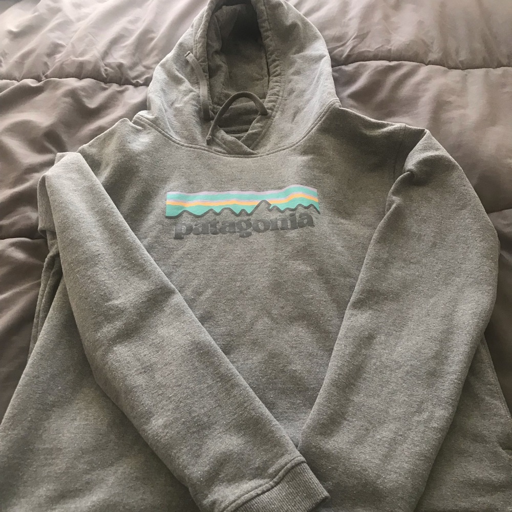 Patagonia heavy weight hoodie